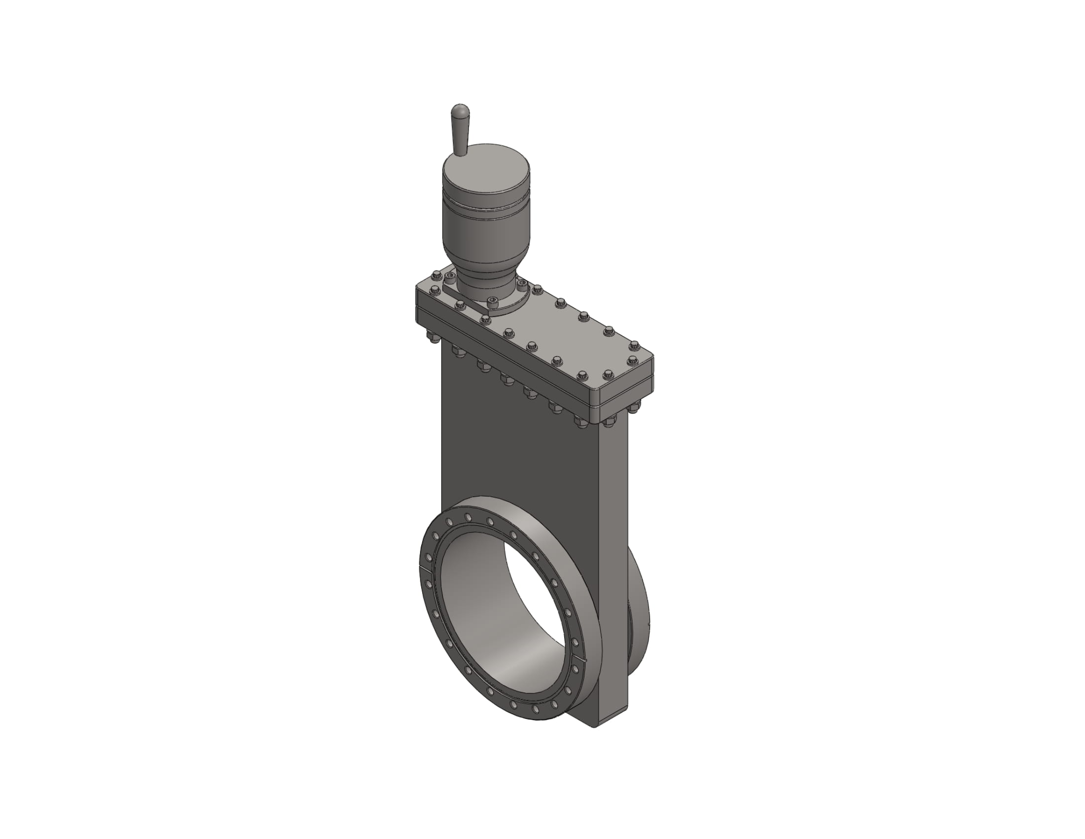 TLG6000 Manual Gate Valve Metal Seal Bonnet