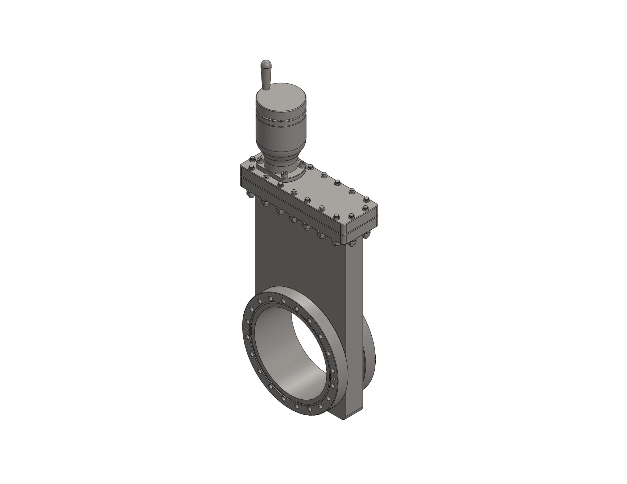 TLG6000 Manual Gate Valve Metal Seal Bonnet