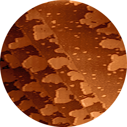 DEPOSITION Selfassembly Organic Semiconductor Trixler LMU